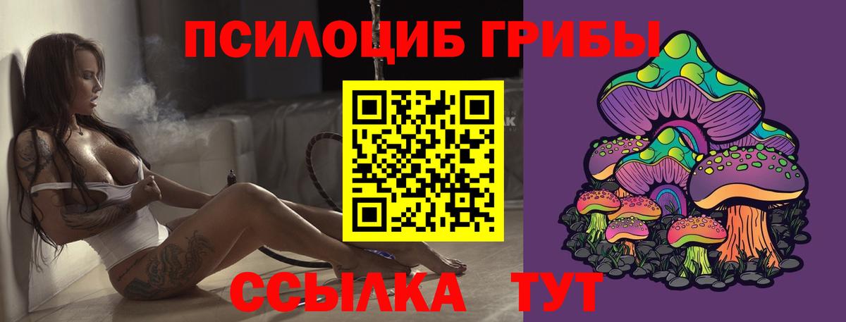 Галлюциногенные грибы мицелий  Псилоцибиновые грибы Psilocybine cubensis  где продают   Урюпинск  Вход с VPN 